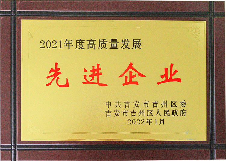 2021年先进企业